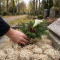 Dekoratyvinė samanomis džiovinta miško samanų balinta natūrali puošmena 300g | Floristik24.lt