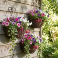 Pakabinami krepšelio augalai metaliniai rust look H30/33.5/40cm rinkinys 3 vnt | Floristik24.lt