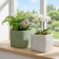 Sodintuvas keramikinis baltas žalias reljefinis tinklelis 17x17cm H15cm 2vnt | Floristik24.lt