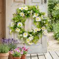 Daisy Vainikas Baltas Žalias Dirbtinis Ø28cm H9cm | Floristik24.lt