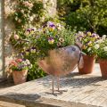 Gėlių vazonas Chicken Metal Bird Metallic Rosé 51×16×37cm | Floristik24.lt