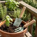 Sodo įrankių rinkinys sodo grėblys sodo kastuvas 25/28cm | Floristik24.lt