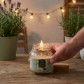 Kvepianti žvakė žvakė stiklinėje citronelinio šalavijo žalios spalvos H11,5cm | Floristik24.lt