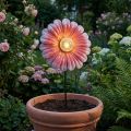 Saulės LED Gėlių sodo lemputė LED Metalinė Rožinė Ø30cm | Floristik24.lt
