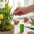 Sultinio efekto viela dekoravimui Ø0.30mm 100g 140m obuolių žalios spalvos floristinė viela rankdarbiams | Floristik24.lt