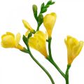 Frezijos, dirbtinės gėlės, frezijos kekėje geltonos L64cm 6vnt