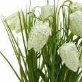 Floristik24 Fritillaria vazone, šaškių lentos gėlė žalia ir balta, dirbtinė gėlė