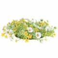 Floristik24 Gėlių vainikas su medžio anemonais baltas, geltonas Ø30cm
