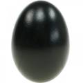 Floristik24 Žąsų kiaušiniai Juodi Blown Eggs Velykų dekoracija 12vnt