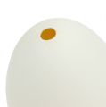 Floristik24 Žąsų kiaušinių baltymas 7cm 4vnt
