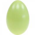 Floristik24 Žąsų kiaušiniai pastelinės žalios spalvos išpūsti kiaušiniai Velykinė dekoracija 12vnt
