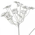 Floristik24 Sodo kamščio gėlė, sodo puošmena, augalų kamštis iš metalo shabby chic balta, sidabrinė L52cm Ø10cm 2vnt.