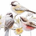 Floristik24 Sodo kuoliukai metaliniai paukšteliai, gėlių kuolai sodui 84cm