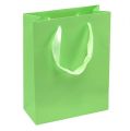 Floristik24 Dovanų maišelis šviesiai žalias 23cm x 18cm x 8cm