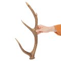 Dekoratyviniai dirbtiniai elnių ragai, kaimiško stiliaus namelio puošmena, 50 cm | Floristik24.lt