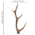 Dekoratyviniai dirbtiniai elnių ragai, kaimiško stiliaus namelio puošmena, 50 cm | Floristik24.lt