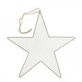 Floristik24 Metalinė žvaigždės tinklelio dekoracija žvaigždės metalo puošmena auksinė Ø47cm
