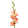 Floristik24 Dirbtinis kardelis su daugybe žiedų puokštei, 88 cm