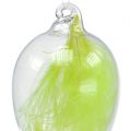 Floristik24 Stiklinis kiaušinis su plunksnomis pakabinti 6,5cm šviesiai žalias 6vnt