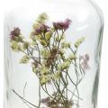 Floristik24 Stiklas su žvakide, stiklo apdaila su džiovintomis gėlėmis H16cm Ø8,5cm