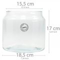 Floristik24 Stiklinis žibintas, dekoratyvinė vaza, žvakių apdaila Ø18,5cm H21cm