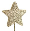 Floristik24 Blizganti žvaigždė ant vielos 4cm aukso 60vnt
