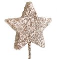 Floristik24 Blizganti žvaigždė ant vielos 4cm L23cm šviesaus aukso