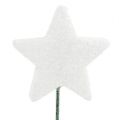 Floristik24 Blizganti žvaigždė ant vielos 5cm balta L23cm 48vnt