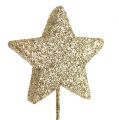 Floristik24 Blizgančios žvaigždės ant vielos 5cm aukso L23cm 48vnt
