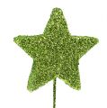 Floristik24 Blizgančios žvaigždės ant vielos žalias 5cm 48vnt