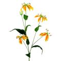 Floristik24 Gloriosa šakelė oranžinė geltona 90cm 1vnt
