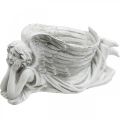 Floristik24 Kapo angelas su augaliniu dubeniu Paukščių vonios angelas guli 39×18×18cm