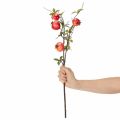Dirbtinė granato šakelė kaip vaisiaus šakelė stalo dekoravimui, 68 cm | Floristik24.lt