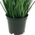 Floristik24 Quaking Grass Dirbtinė žolė Dirbtinis vazoninis augalas 36cm