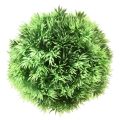 Floristik24 Žolės kamuoliukas dekoratyvinis rutulys dirbtiniai augalai žalias Ø15cm 1vnt