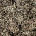 Dekoratyvinės samanos, pilkos samanos rankdarbiams, 500g | Floristik24.lt