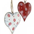 Floristik24 Metalinė širdelė pakabinimui, dovanų etiketė, Valentino diena, vintažinė raudona, balta H6cm 6vnt.