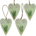 Floristik24 Dekoratyvinės širdelės pakabinti su gėlėmis medžio žalia, balta 8,5×12cm 4vnt