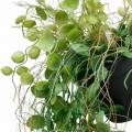 Floristik24 Kabantis augalas vazone Dirbtinis žalias augalas Pakabinamas krepšelis