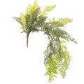Floristik24 Dirbtinė paparčio šakelė, subtili, vazai, 80 cm