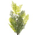 Dirbtinė paparčio šakelė, subtili, vazai, 80 cm | Floristik24.lt