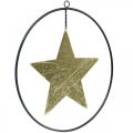 Floristik24 Kalėdų puošmena žvaigždės pakabukas auksinis juodas 12,5cm 3vnt