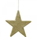 Floristik24 Kalėdų puošmena žvaigždės pakabukas auksiniai blizgučiai 30cm 2vnt