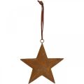 Floristik24 Kalėdinis pakabukas žvaigždutė metalinė žvaigždė rūdžių išvaizda H13,5cm
