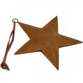 Floristik24 Kalėdinis pakabukas žvaigždutė metalinė žvaigždė rūdžių išvaizda H13,5cm