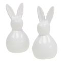 Floristik24 Bunny keramikinis baltas 7,5cm 6vnt