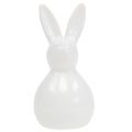 Floristik24 Bunny keramikinis baltas 7,5cm 6vnt