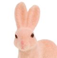 Floristik24 Bunny flocked 10,5cm pastelė 6vnt