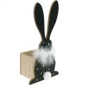 Floristik24 Bunny Planter Feather Boa Juodas, baltas taškuotas medinis Velykų zuikis