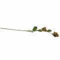 Lazdyno šakelė žalia / ruda 84cm | Floristik24.lt